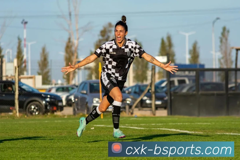 B体育平台生态图