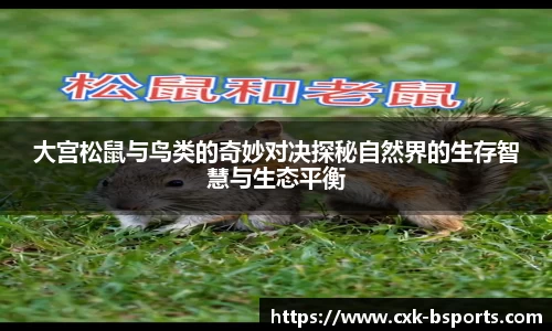 大宫松鼠与鸟类的奇妙对决探秘自然界的生存智慧与生态平衡